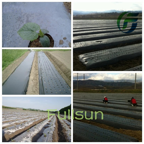 Biodegradable Mulch Film
