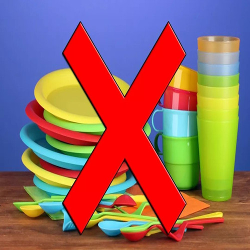 Biodegradable plastic bags