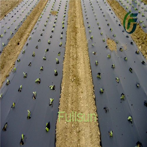 Biodegradable Mulch Film