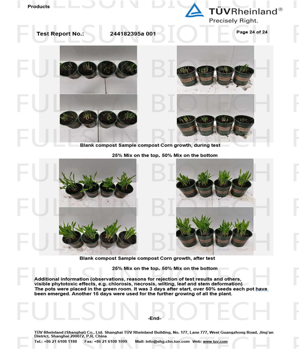 biodegradable straws